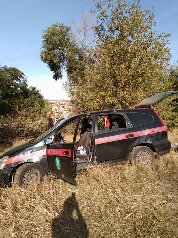 Спасение собаки из шахты. Фото: Facebook / Мария Говяда dqxikeidqxitkant