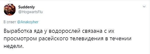 Водоросли выработали яд после просмотра российского ТВ