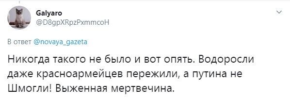 Водоросли даже красноармейцев пережили