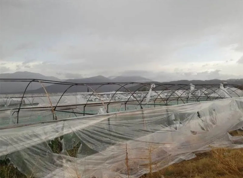 Поврежденные теплицы dqxikeidqxiqqeant