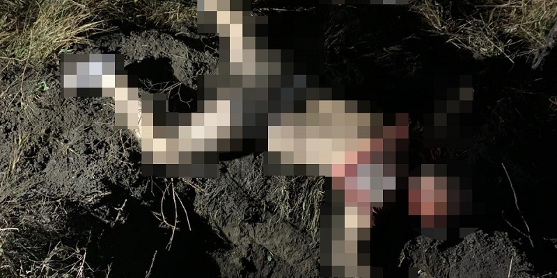 На Сумщине нацгвардейца подозревают в убийстве - 1 - изображение dqxikeidqxitkant