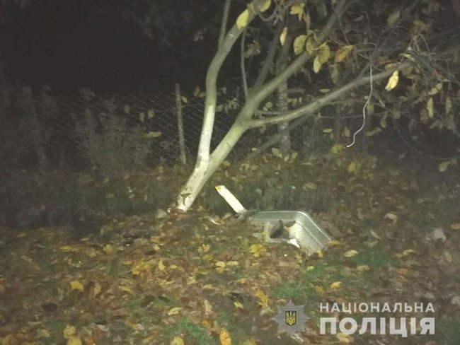 Пяний водій влетів у дерево на Рівненщині, пасажирка випала з авто і загинула 02 dqxikeidqxitkant