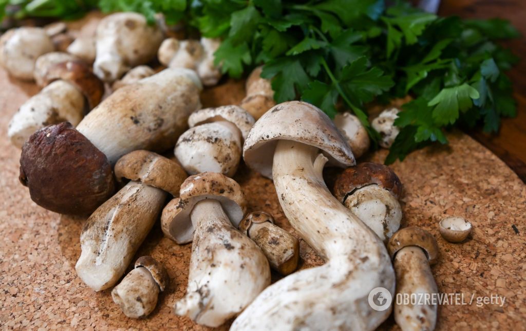 Собирали сыроежки и маслята