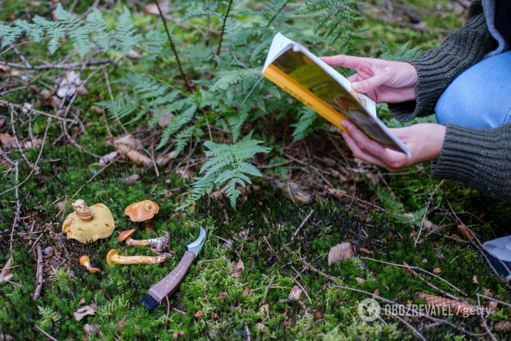 Отравленные грибы покупали на