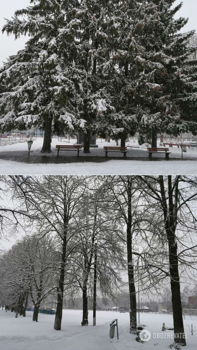 Город на Сумщине неожиданно завалило снегом. Впечатляющие фото