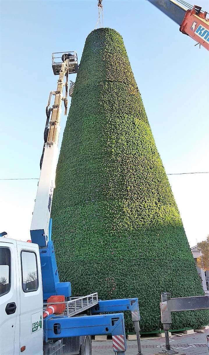 Елка в Симферополе dqxikeidqxitkant