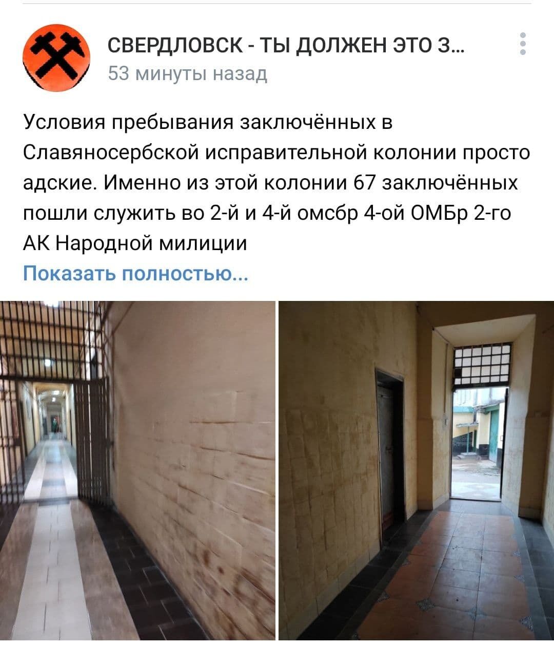 Telegram Анатолия Штефана.