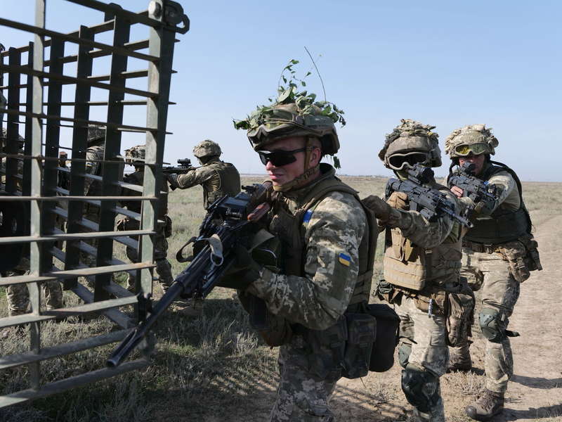 Десантники ВСУ во время вышкола на юге Украины. dqxikeidqxiqqeant