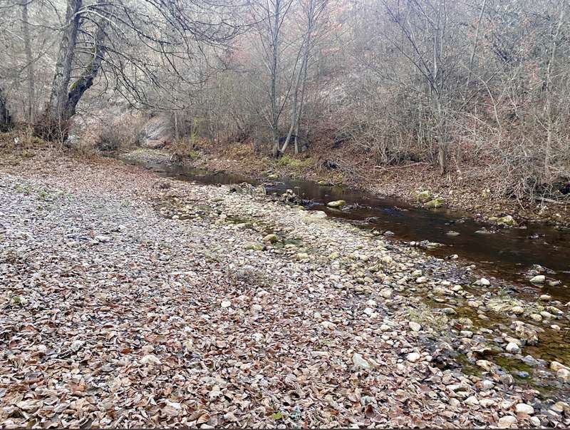 Уровень воды в Кокозке упал. dqxikeidqxitkant