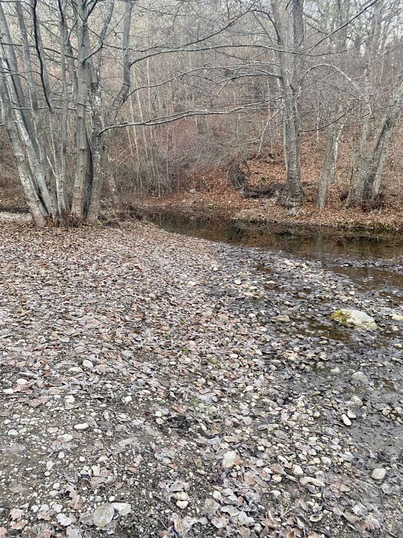 С начала лета ситуация резко ухудшилась.