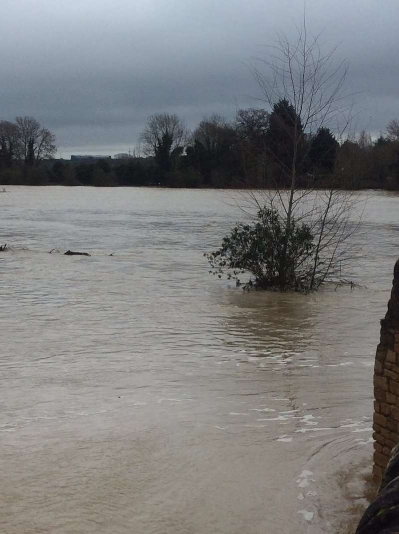   . : Twitter dqxikeidqxitkant