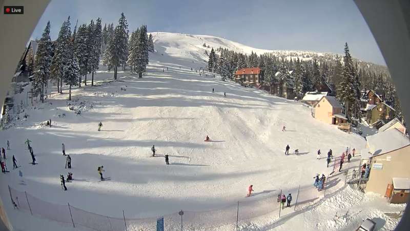 Отдых на Драгобрате dqxikeidqxiqqeant