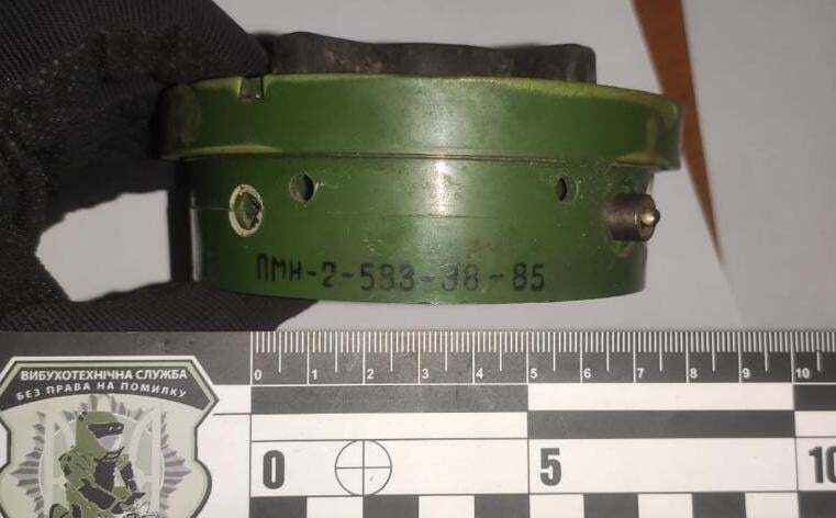 На Луганщине нашли запрещенные российские мины. dqxikeidqxiqqeant