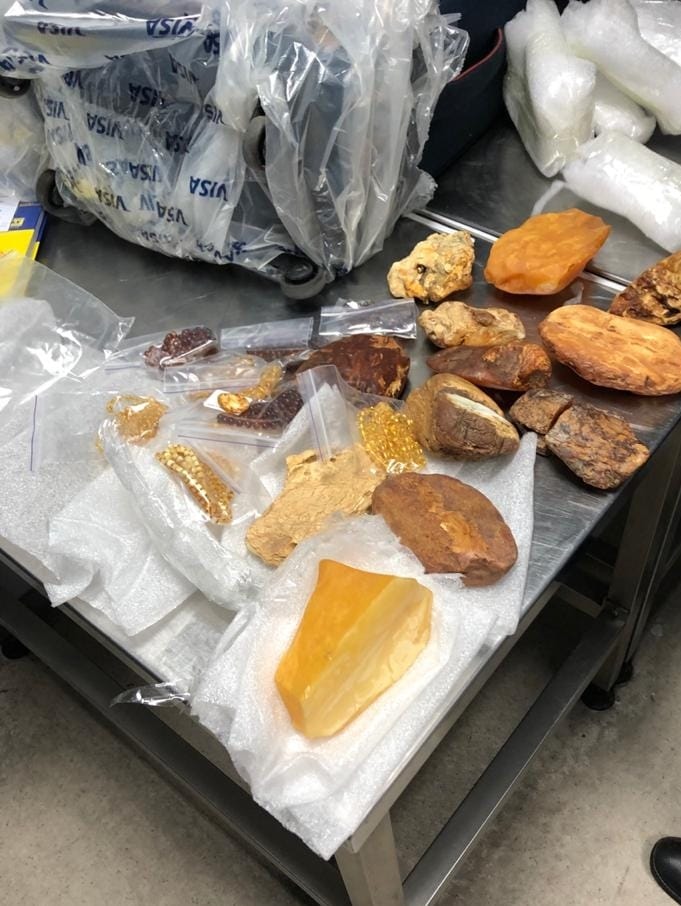 В Киеве задержали мужчину, который хотел вывести янтарь в Дубай. Фото: dpsu.gov.ua dqxikeidqxiqqeant
