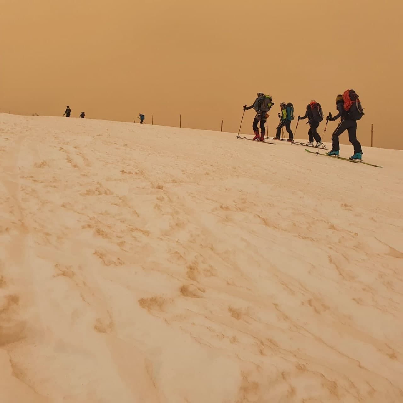 Снег в горах Франции стал желтым