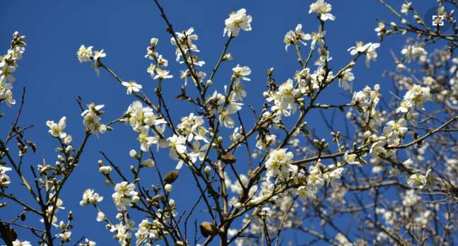 Севастополь, февраль 2021 года dqxikeidqxiqqeant