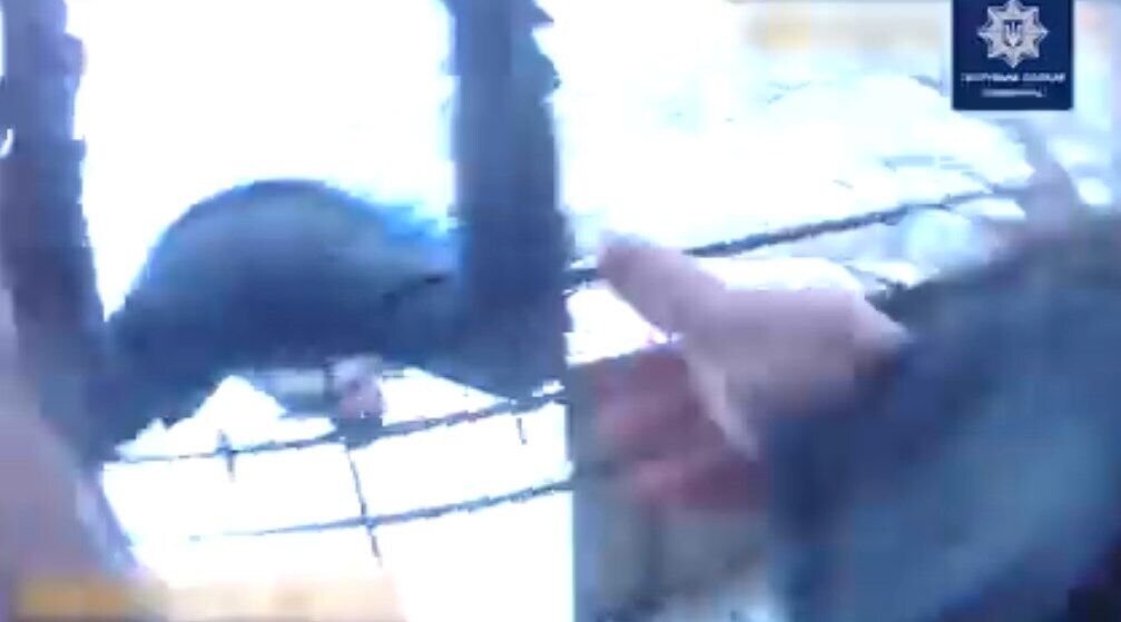 Полицейские схватили мужчину за ногу в последний момент. dqxikeidqxitkant
