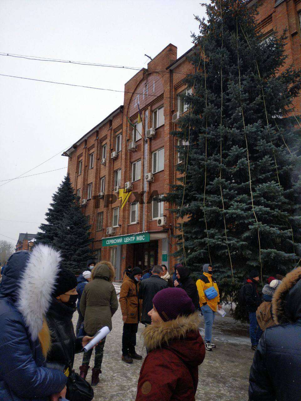 Фото: соцсети dqxikeidqxiqqeant