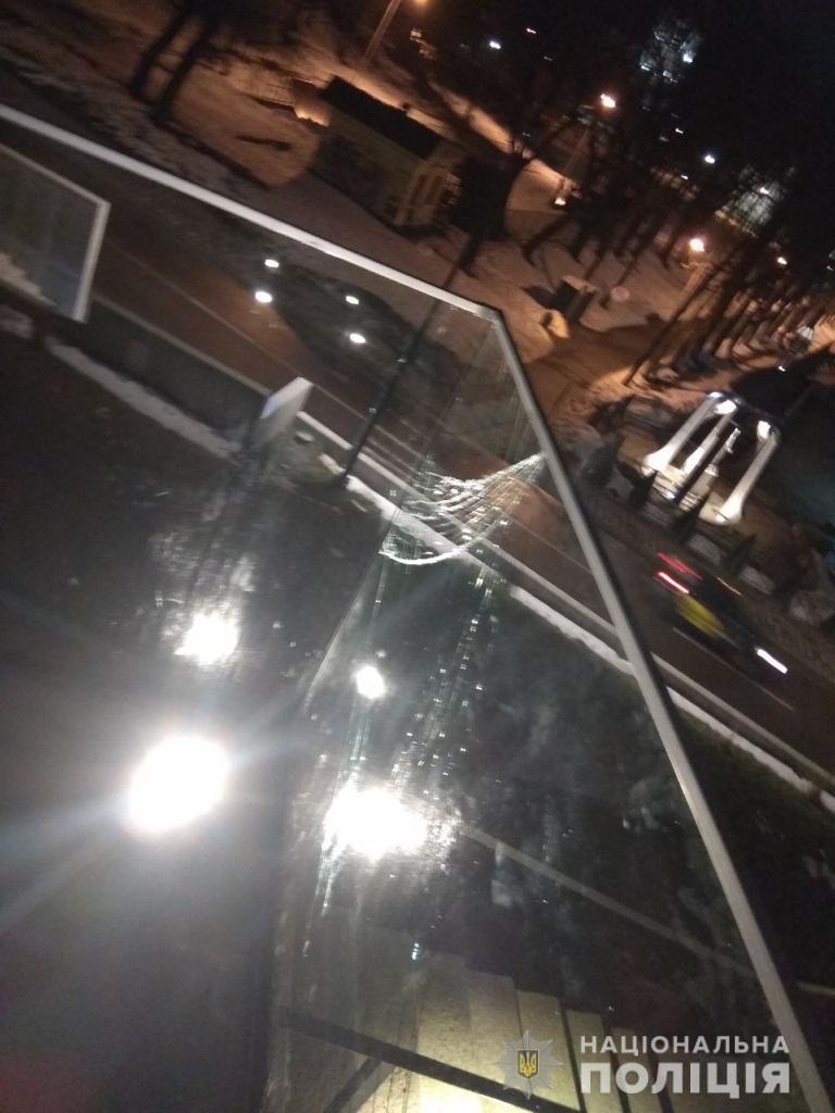 Во Львове пьяный киевлянин повредил мемориал Небесной Сотни - 2 - изображение dqxikeidqxiqqeant