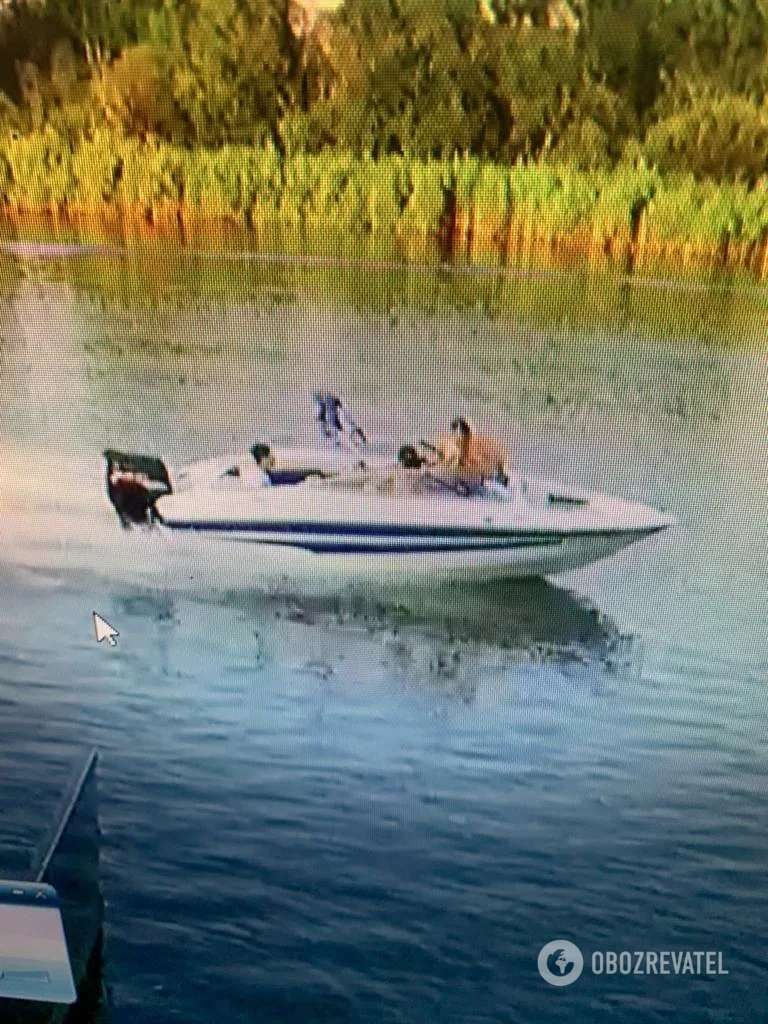 Шипко в 2013 году "решал" вопрос "лицензирования медпрактик" dqxikeidqxitkant