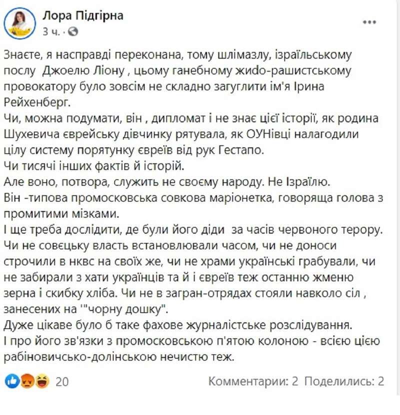 Украинская писательница оскорбила посла Израиля - фото 1 dqxikeidqxiqqeant