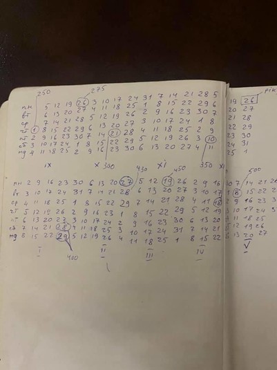 Помилування Януковича і агент «Китаєць»: Луценко розповів цікаві подробиці звільнення з колонії dqxikeidqxitkant