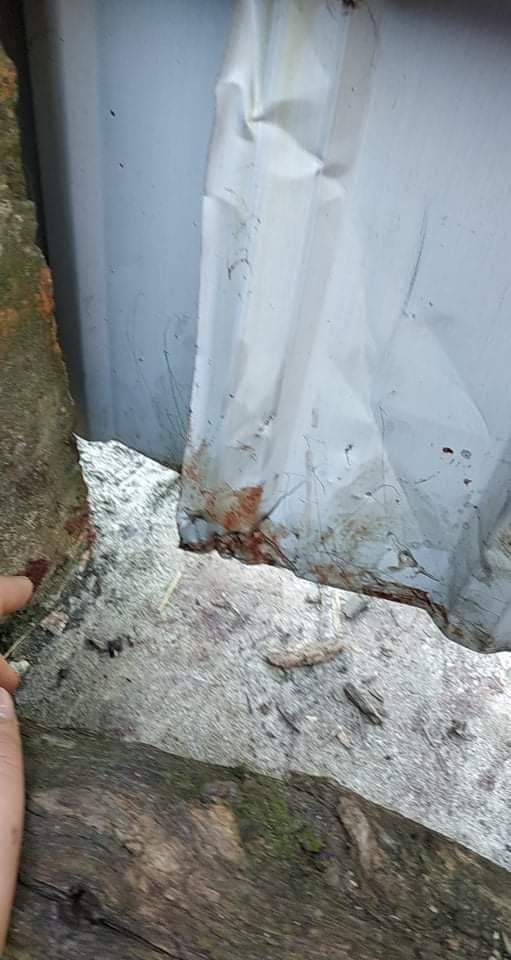 Окровавленный забор