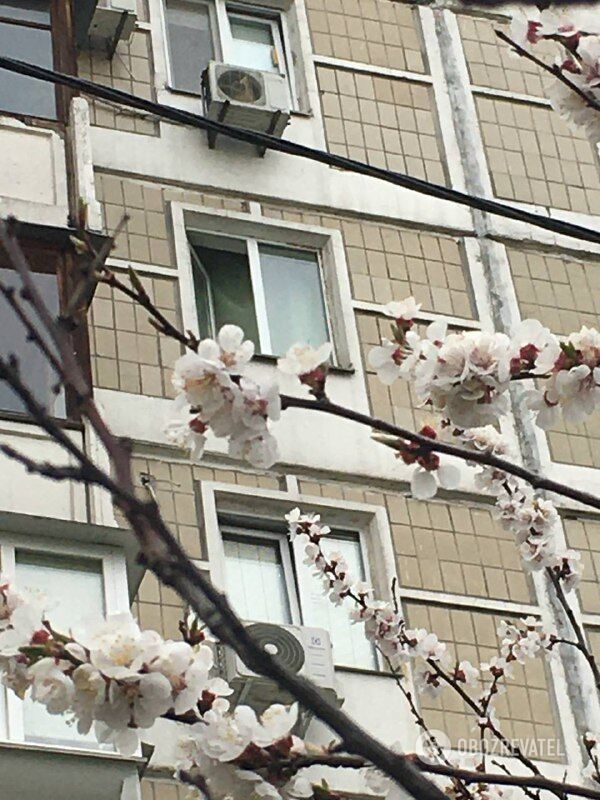 Окно в квартире открыто