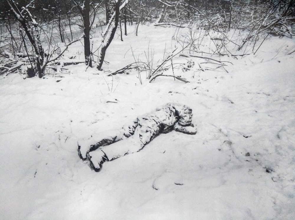 Фото з протоколу огляду місця події dqxikeidqxitkant