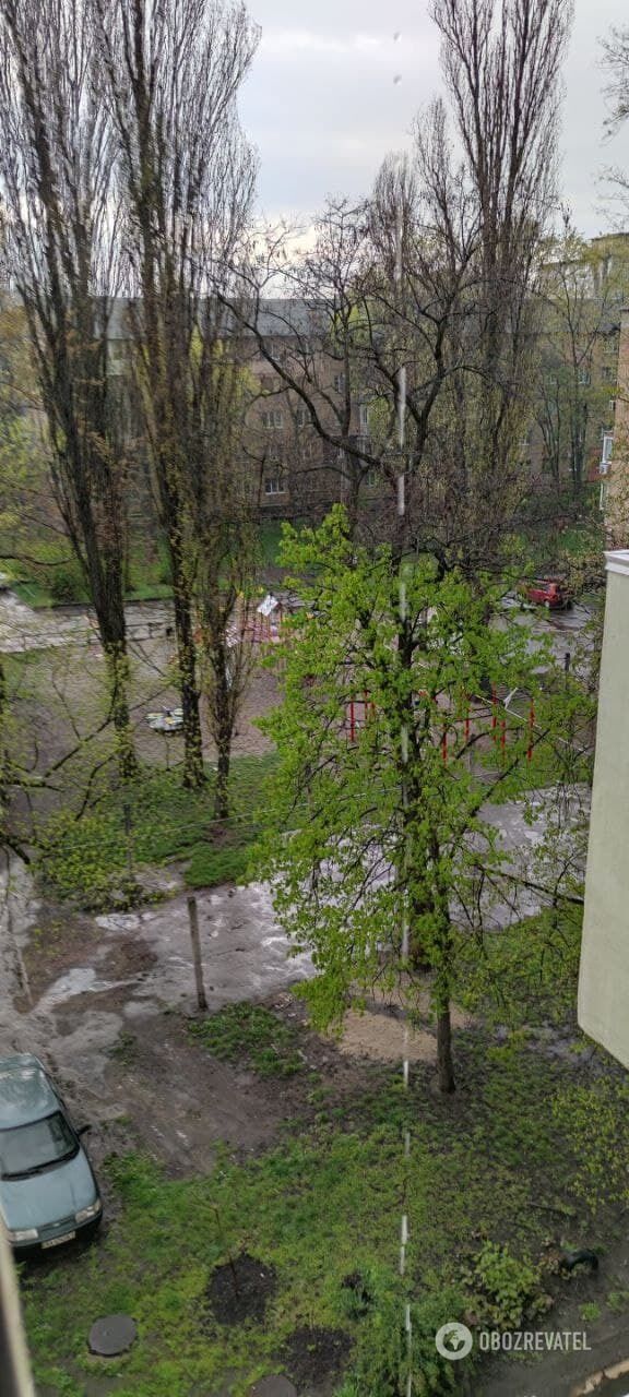 В городе установилась теплая, но дождливая погода. dqxikeidqxitkant