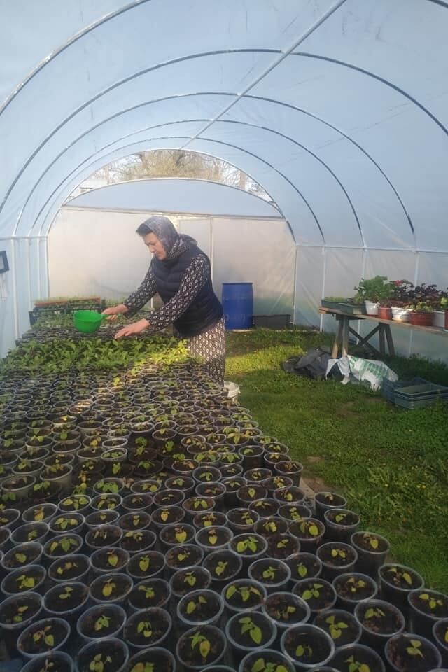 Надежда Савченко в парнике