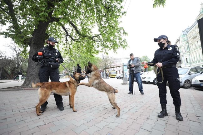 Пасхальная ночь в Украине прошла спокойно и без нарушений, - замглавы МВД Яровой 03