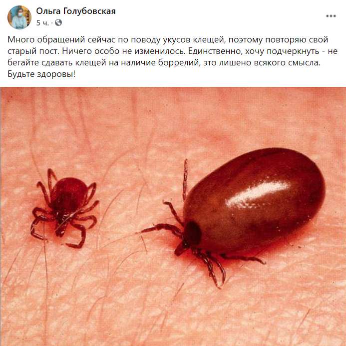 Скриншот. dqxikeidqxitkant