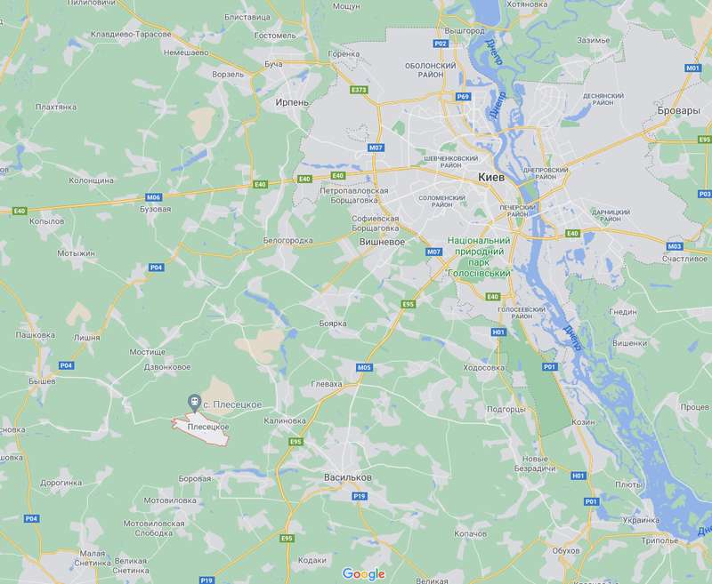 Преступление было совершено в селе Плесецкое. dqxikeidqxiqqeant