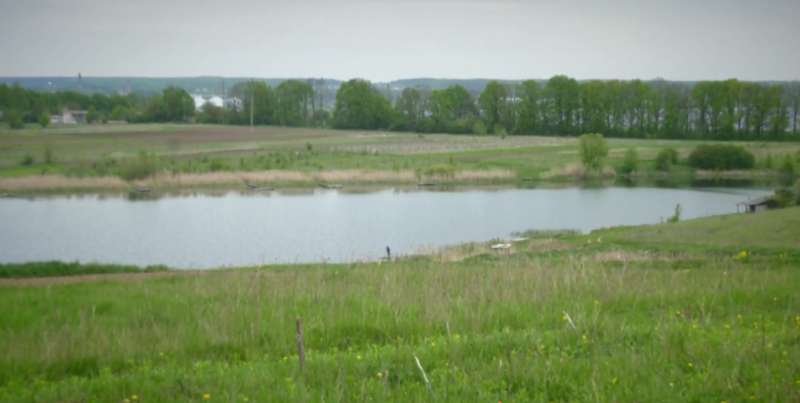 Назар (справа) с мамой, сестрой и братом Костей dqxikeidqxiqqeant