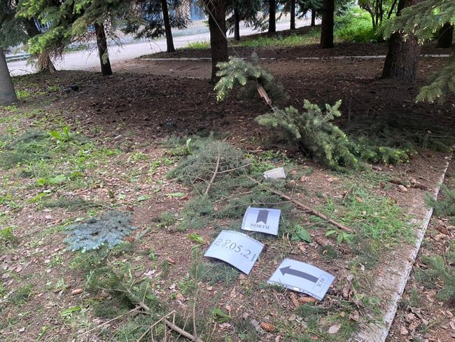      :         01 dqxikeidqxiqqeant