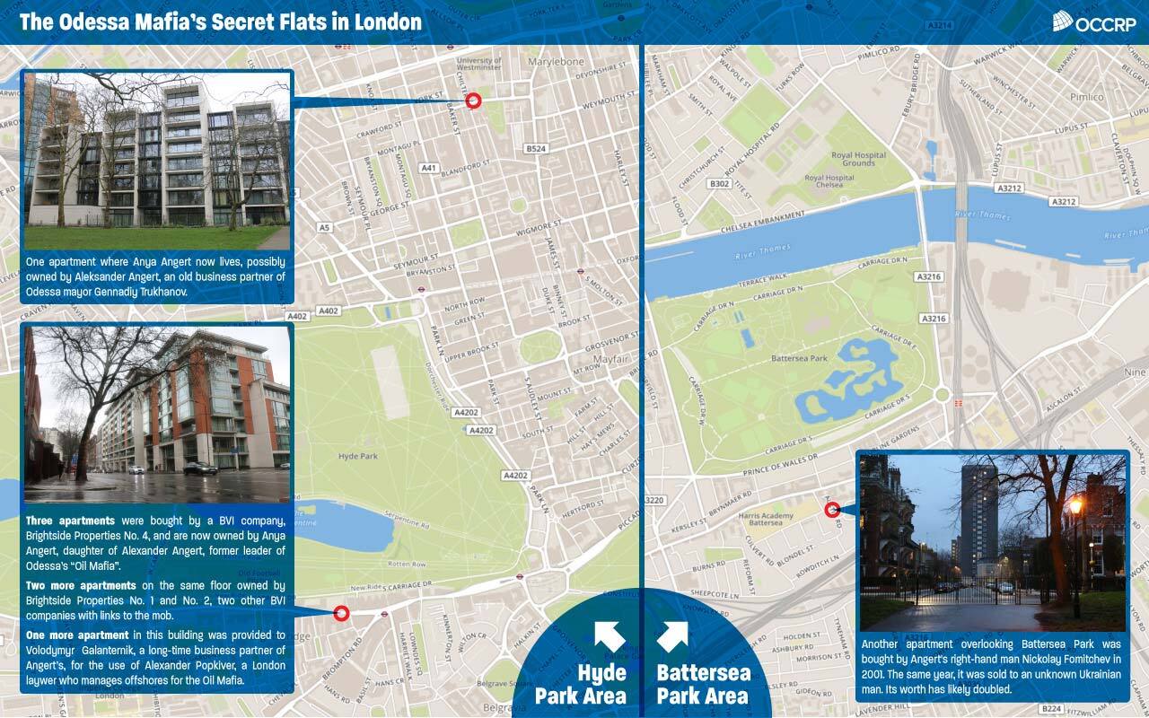 Эдин Пасович, OCCRP dqxikeidqxitkant