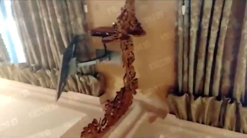 Квартира Максаковой dqxikeidqxiqqeant