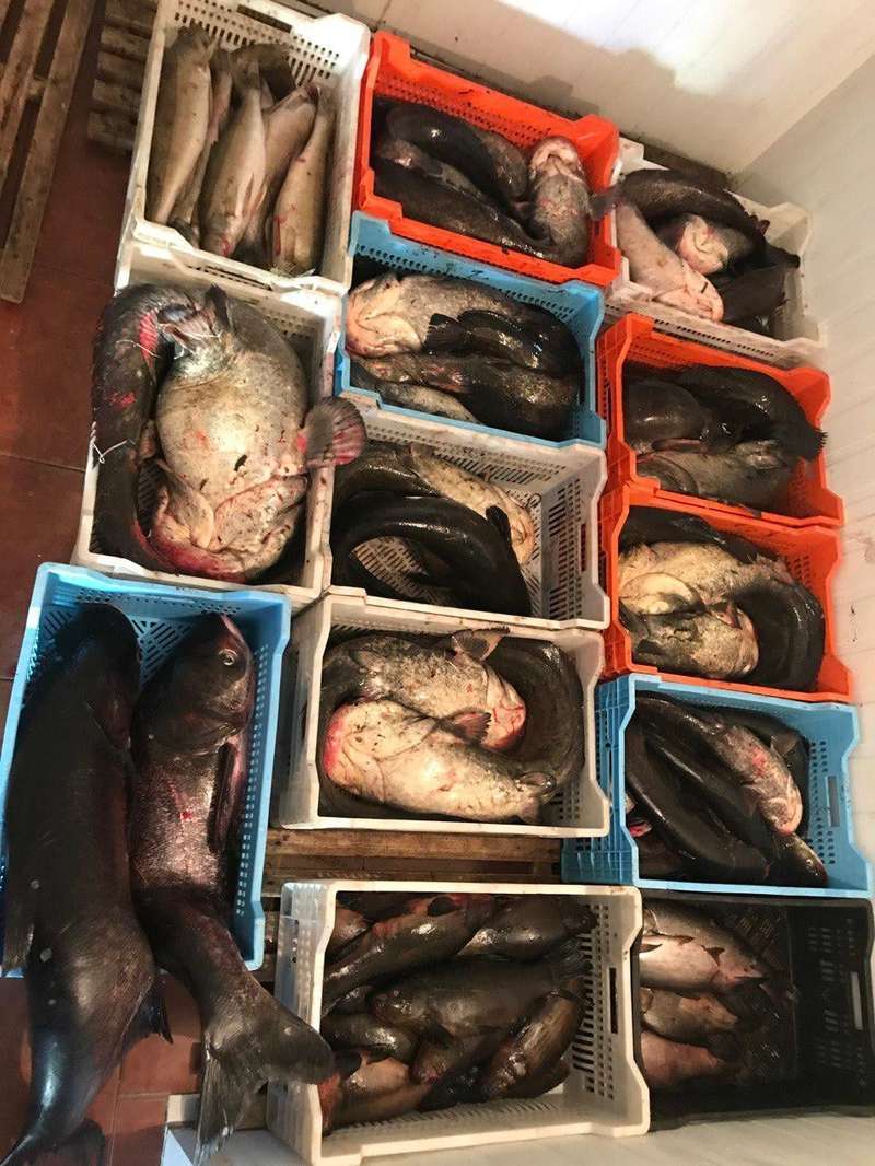 Фото прокуратуры в Facebook dqxikeidqxiqqeant