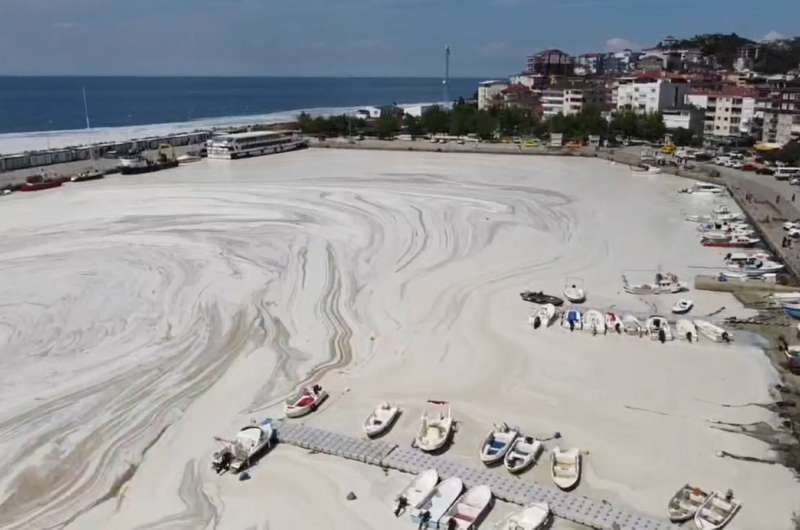 Мраморное море покрылось слизью вдоль побережья Турции (фото) - 3 - изображение