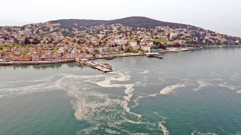 Мраморное море покрылось слизью вдоль побережья Турции (фото) - 4 - изображение