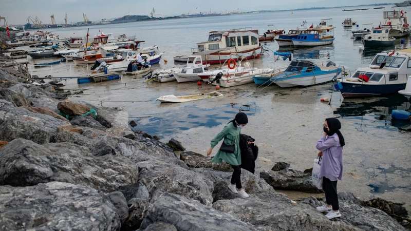 Мраморное море покрылось слизью вдоль побережья Турции (фото) - 5 - изображение
