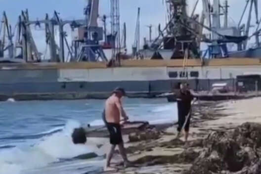 Жители Бердянска нашли гениальный метод очистки пляжа от водорослей-1200x800 dqxikeidqxiqqeant