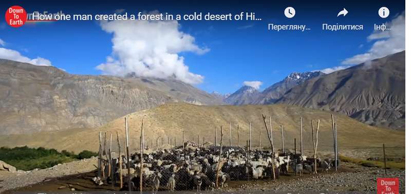 Ананд Дхавадж Неги создал оазис посреди бесплодной пустыни