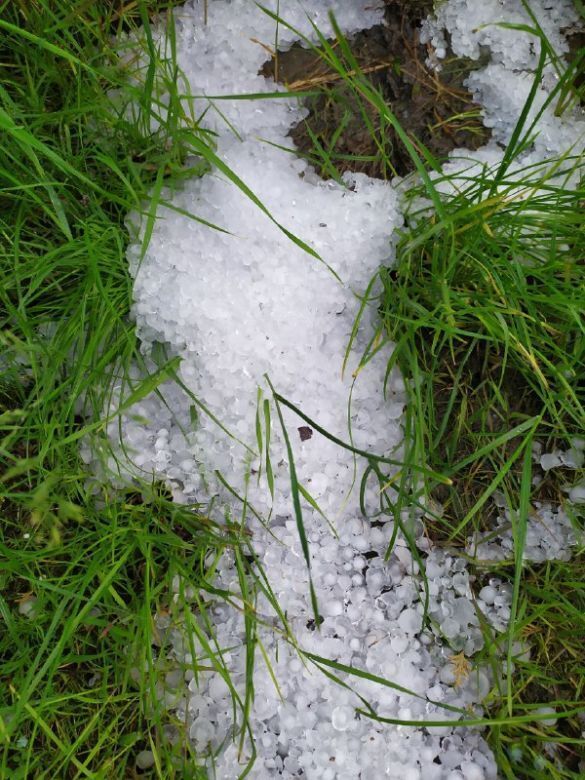 Град в Черновцах.