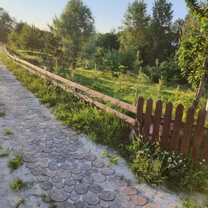 untitled image dqxikeidqxiqqeant