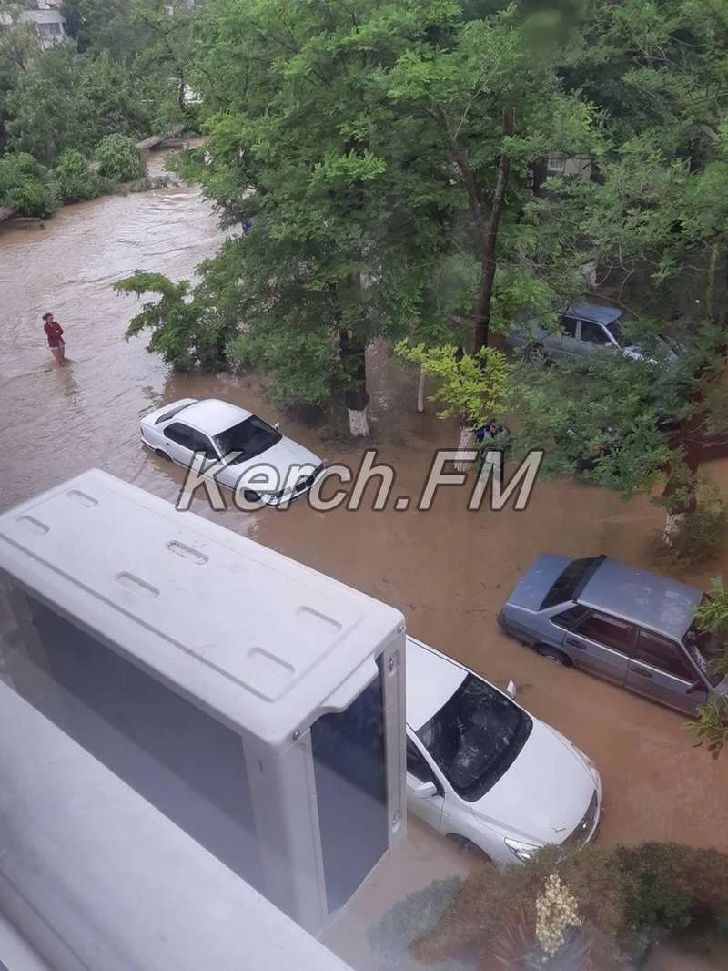 Непогода ломала деревья и рушила заборы