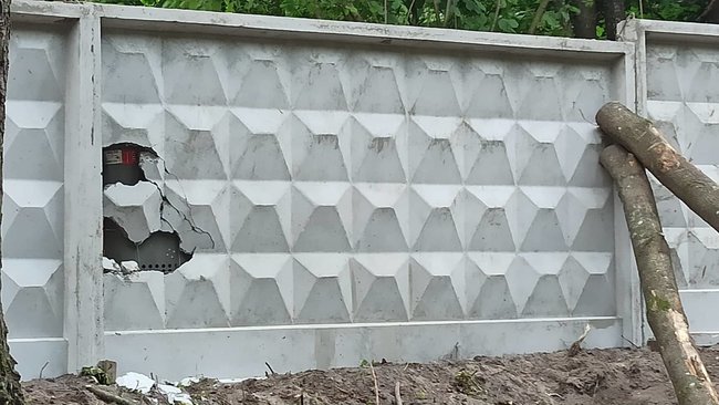 Акция против вырубки деревьев прошла в Голосеевском парке в Киеве 12