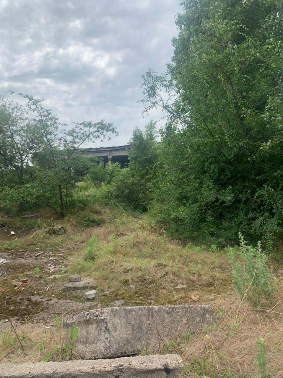 Место, где было найдено тело девочки