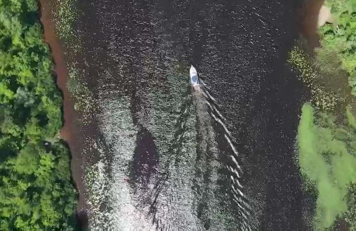 Днепр поменял цвет. dqxikeidqxitkant